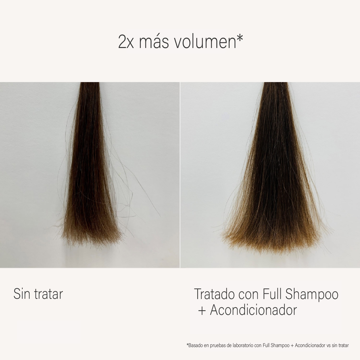 FULL SHAMPOO (SHAMPOO PARA CABELLO)